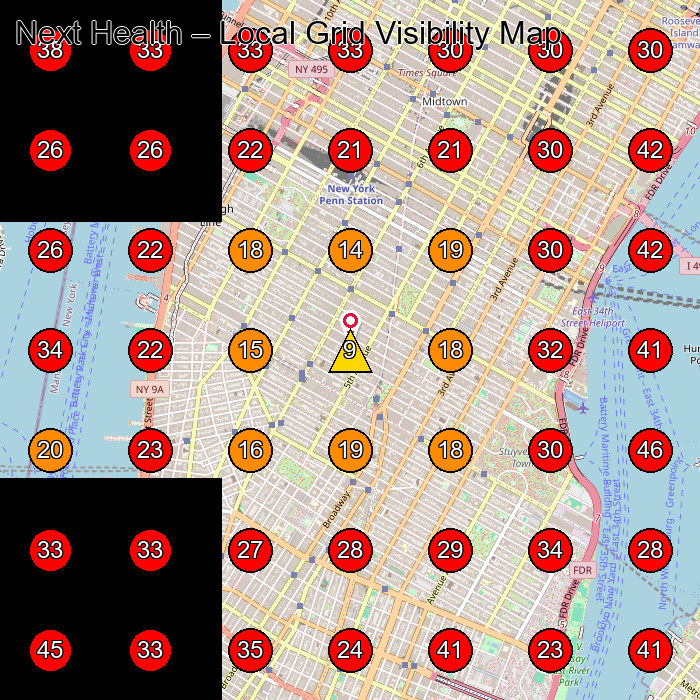 Next Health GeoGrid visibility map for Health Spa in New York